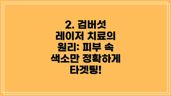 2. 검버섯 레이저 치료의 원리: 피부 속 색소만 정확하게 타겟팅!