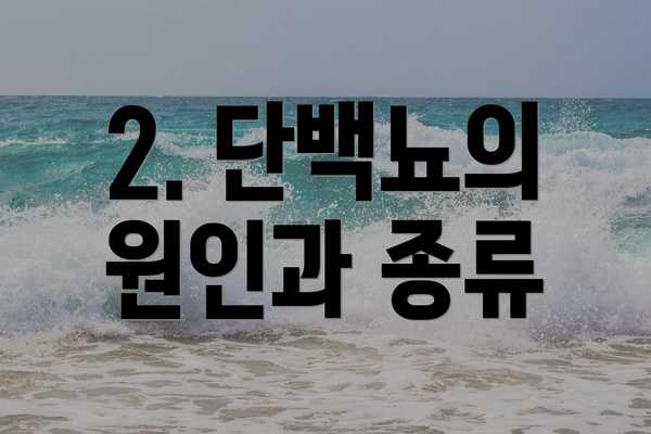 2. 단백뇨의 원인과 종류
