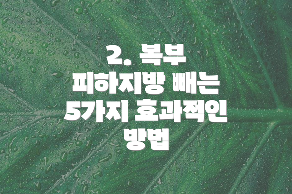 2. 복부 피하지방 빼는 5가지 효과적인 방법