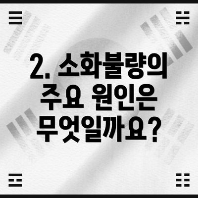 2. 소화불량의 주요 원인은 무엇일까요?