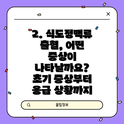 2. 식도정맥류 출혈, 어떤 증상이 나타날까요? 초기 증상부터 응급 상황까지