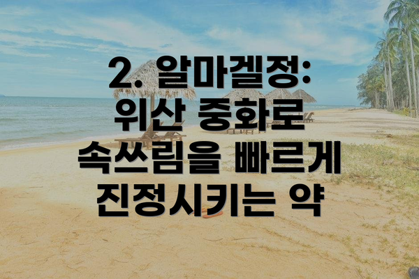 2. 알마겔정: 위산 중화로 속쓰림을 빠르게 진정시키는 약