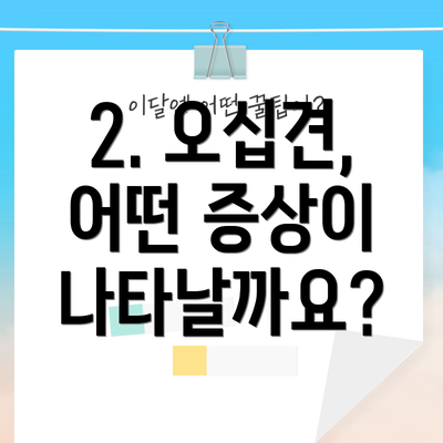 2. 오십견, 어떤 증상이 나타날까요?