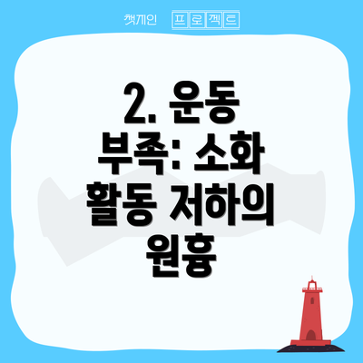 2. 운동 부족: 소화 활동 저하의 원흉