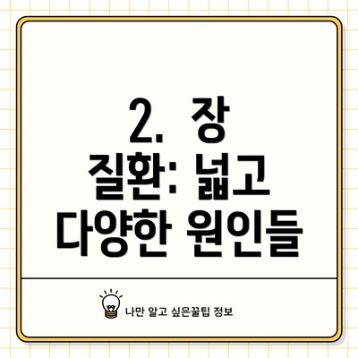 2.  장 질환: 넓고 다양한 원인들