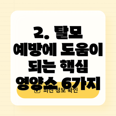 2. 탈모 예방에 도움이 되는 핵심 영양소 6가지
