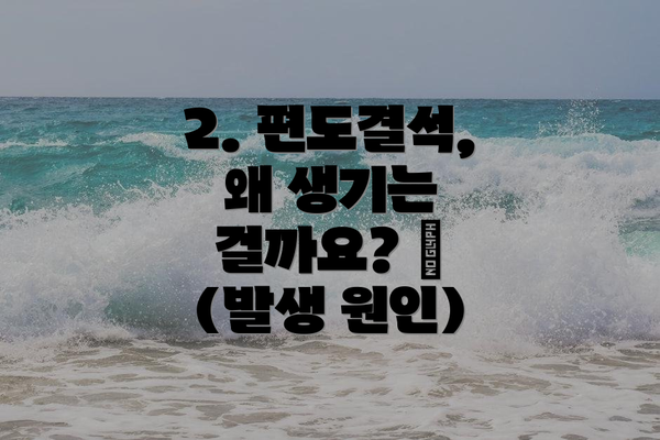 2. 편도결석, 왜 생기는 걸까요? 🤔 (발생 원인)