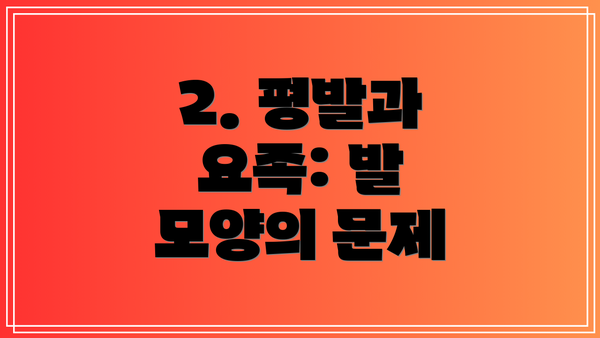 2. 평발과 요족: 발 모양의 문제