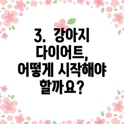 3. 강아지 다이어트, 어떻게 시작해야 할까요?