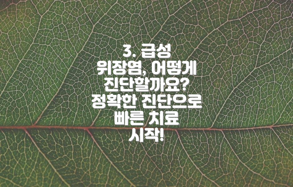 3. 급성 위장염, 어떻게 진단할까요? 정확한 진단으로 빠른 치료 시작!