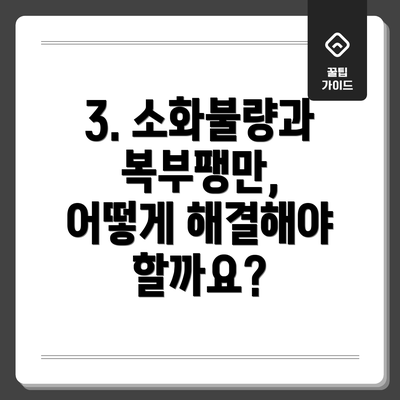 3. 소화불량과 복부팽만, 어떻게 해결해야 할까요?