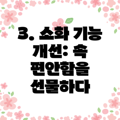 3. 소화 기능 개선: 속 편안함을 선물하다