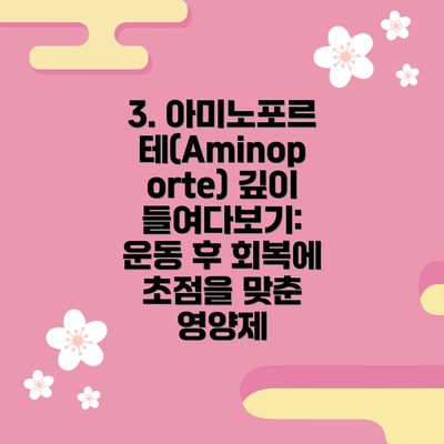 3. 아미노포르테(Aminoporte) 깊이 들여다보기: 운동 후 회복에 초점을 맞춘 영양제