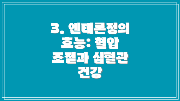 3. 엔테론정의 효능: 혈압 조절과 심혈관 건강