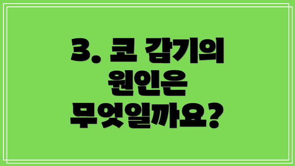 3. 코 감기의 원인은 무엇일까요?