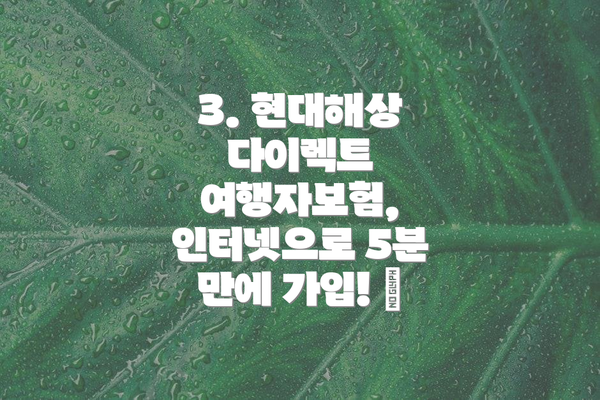 3. 현대해상 다이렉트 여행자보험, 인터넷으로 5분 만에 가입! 💻