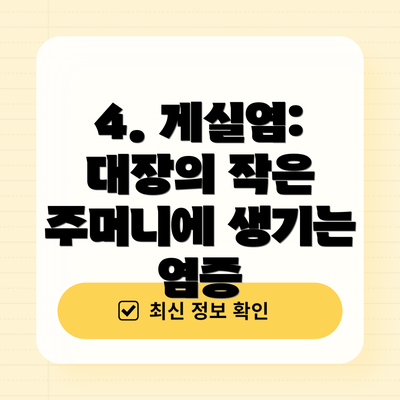 4. 게실염: 대장의 작은 주머니에 생기는 염증