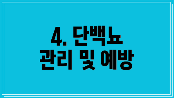 4. 단백뇨 관리 및 예방