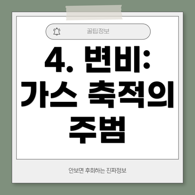 4. 변비: 가스 축적의 주범
