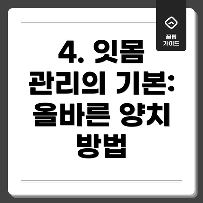 4. 잇몸 관리의 기본: 올바른 양치 방법