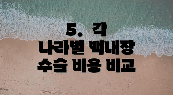 5.  각 나라별 백내장 수술 비용 비교