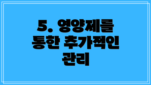 5. 영양제를 통한 추가적인 관리
