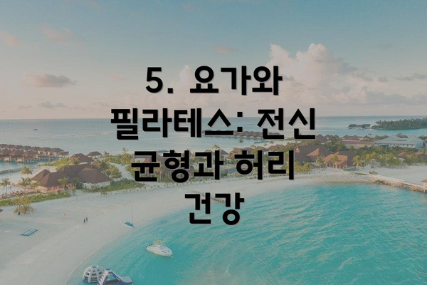 5. 요가와 필라테스: 전신 균형과 허리 건강