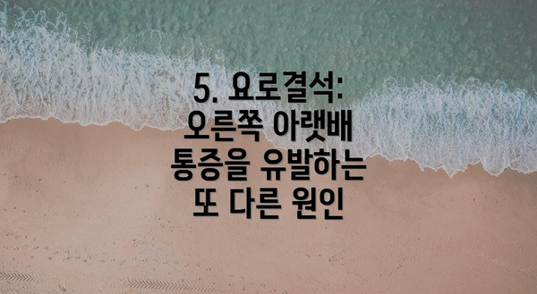 5. 요로결석: 오른쪽 아랫배 통증을 유발하는 또 다른 원인
