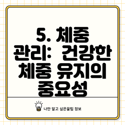 5. 체중 관리:  건강한 체중 유지의 중요성