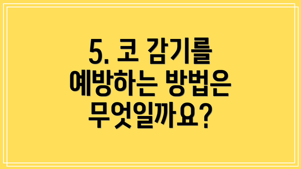 5. 코 감기를 예방하는 방법은 무엇일까요?