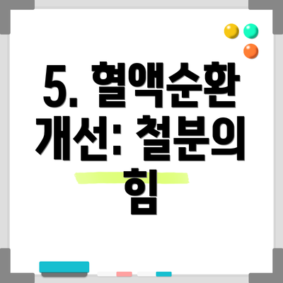 5. 혈액순환 개선: 철분의 힘