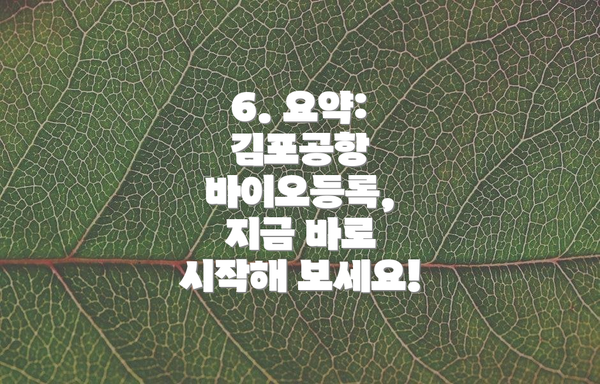 6. 요약: 김포공항 바이오등록, 지금 바로 시작해 보세요!