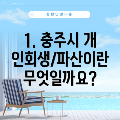 1. 충주시 개인회생/파산이란 무엇일까요?