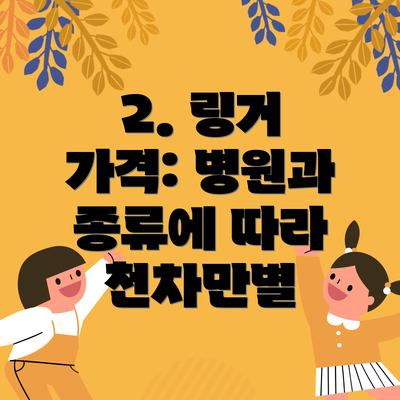 2. 링거 가격: 병원과 종류에 따라 천차만별