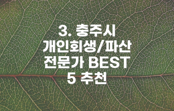 3. 충주시 개인회생/파산 전문가 BEST 5 추천
