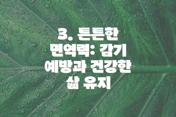 3. 튼튼한 면역력: 감기 예방과 건강한 삶 유지