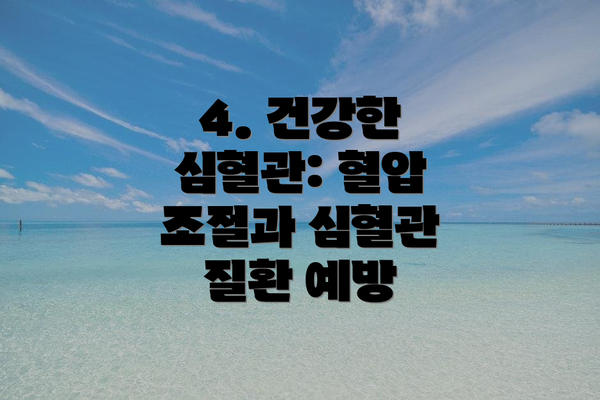 4. 건강한 심혈관: 혈압 조절과 심혈관 질환 예방