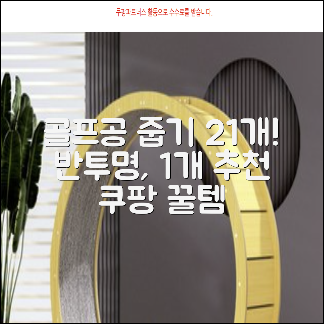 골프공 픽업기 줍기 회수기 수집기 수거기 공21개, 반투명, 1개 추천 리뷰