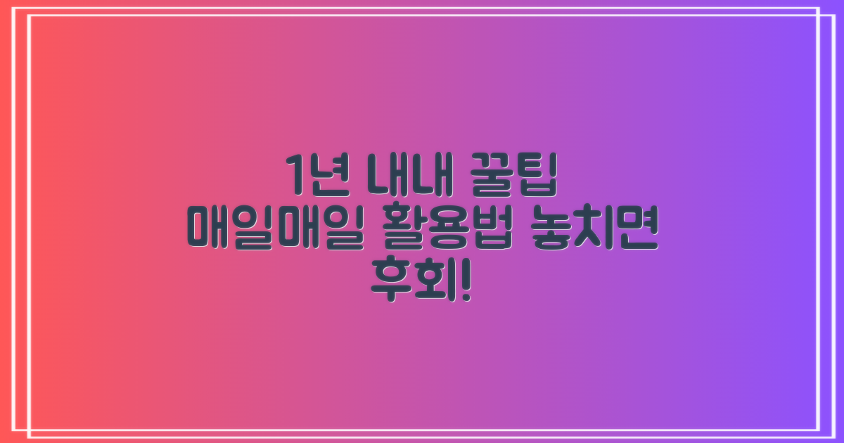 1년 내내 활용법