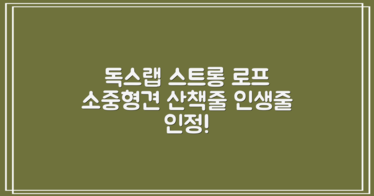 독스랩 1.5m 2m 3m 5m 스트롱 로프 소형견 중형견 대형견 줄 강아지 리드줄 산책줄, 블랙, 1개 추천 리뷰