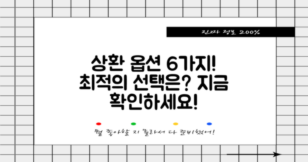 6가지 상환 옵션 안내