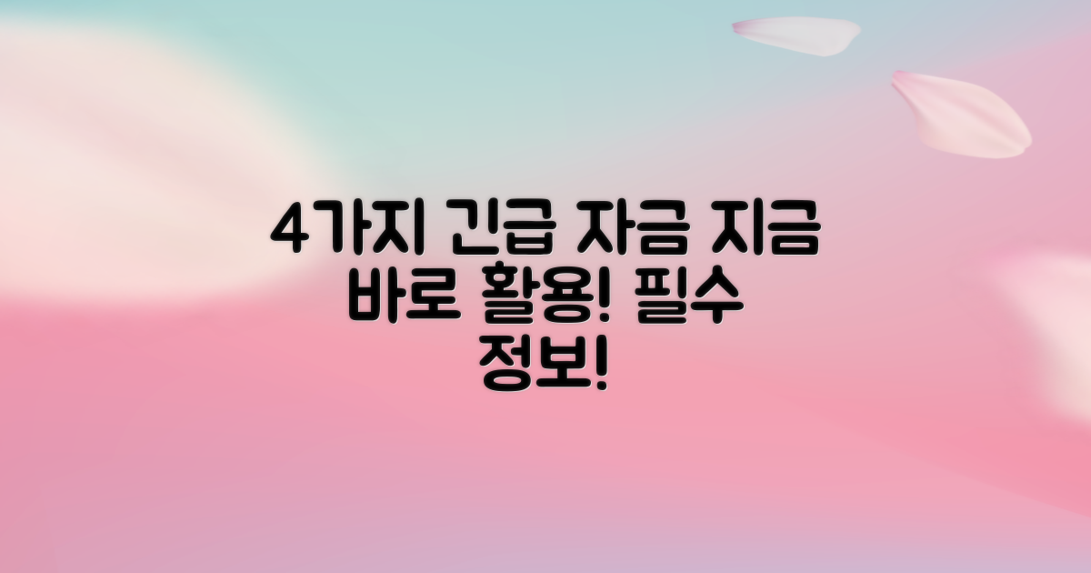 4가지 긴급 자금 활용